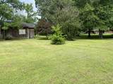 220 Davis Avenue - Photo 19