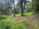 TBD 21.34 Acres Cove Creek - Photo 11