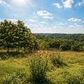 1029 Bear Hollow Road - Photo 2