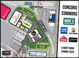  W Pleasant Crossing/S Dixieland Road - Photo 1
