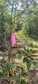 TBD Coquet Lane - Photo 9