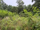 OFF OF Morgan Cave Road - Photo 2