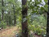 OFF OF Morgan Cave Road - Photo 5