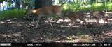  Hickory Hills Drive - Photo 8