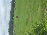 40 acres vacant land County Road 3411 - Photo 3