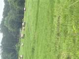 40 acres vacant land County Road 3411 - Photo 4