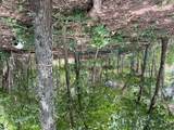 583 County Road 6561 - Photo 3