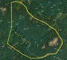 Tater Mountain East - Photo 6