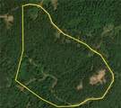 Tater Mountain East - Photo 7