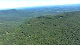  Spring Mountain Airstrip - Photo 5