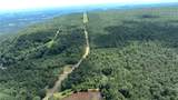  Spring Mountain Airstrip - Photo 6
