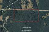 78 Acres Hwy 21 - Photo 15