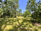 78 Acres Hwy 21 - Photo 2