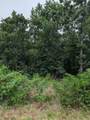  Selkirk Drive - Photo 1