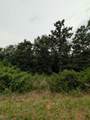  Selkirk Drive - Photo 3