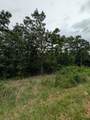  Selkirk Drive - Photo 4