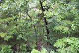 001-02314-001 Green Forest Trail - Photo 10
