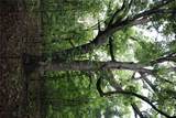 001-02314-001 Green Forest Trail - Photo 18