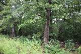 001-02314-001 Green Forest Trail - Photo 5