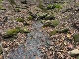 TBD Nc 6065 - Photo 7