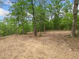 TBD Morgan Cave Road - Photo 12