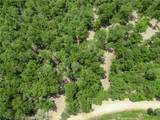 TBD Morgan Cave Road - Photo 21