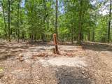 TBD Morgan Cave Road - Photo 4