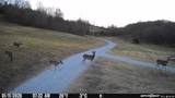TBD (35 acres) Donkey Trail - Photo 24
