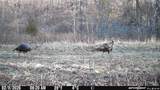TBD (35 acres) Donkey Trail - Photo 25
