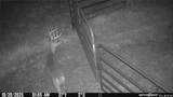 TBD (24 acres) Donkey Trail - Photo 19