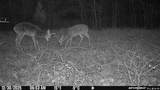 TBD (24 acres) Donkey Trail - Photo 20