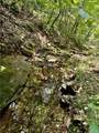 TBD (24 acres) Donkey Trail - Photo 6