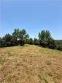 TBD (24 acres) Donkey Trail - Photo 8