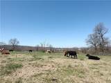 40acres Hewitt Springs Road - Photo 5