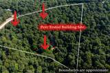 16001 Railroad Cut Road - Photo 4