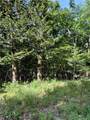 Lot 40 Pine Drive - Photo 3