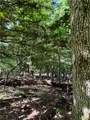 Lot 40 Pine Drive - Photo 4