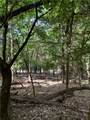 Lot 40 Pine Drive - Photo 5