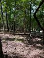 Lot 40 Pine Drive - Photo 6