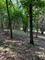 Lot 40 Pine Drive - Photo 8
