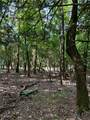 Lot 39 Pine Drive - Photo 6