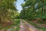  9.95 Acres Madison 2347 - Photo 3