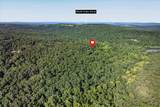  9.95 Acres Madison 2347 - Photo 6