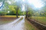 3105 Old Wire Road - Photo 5