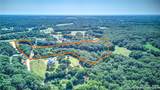 17233 Little John Road - Photo 4