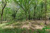 3.15 Acres War Eagle Blacktop Road - Photo 26
