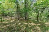 3.15 Acres War Eagle Blacktop Road - Photo 29