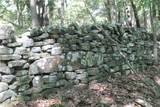 163 Acres Low Gap Road - Photo 1