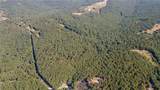 163 Acres Low Gap Road - Photo 10