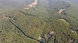 163 Acres Low Gap Road - Photo 11